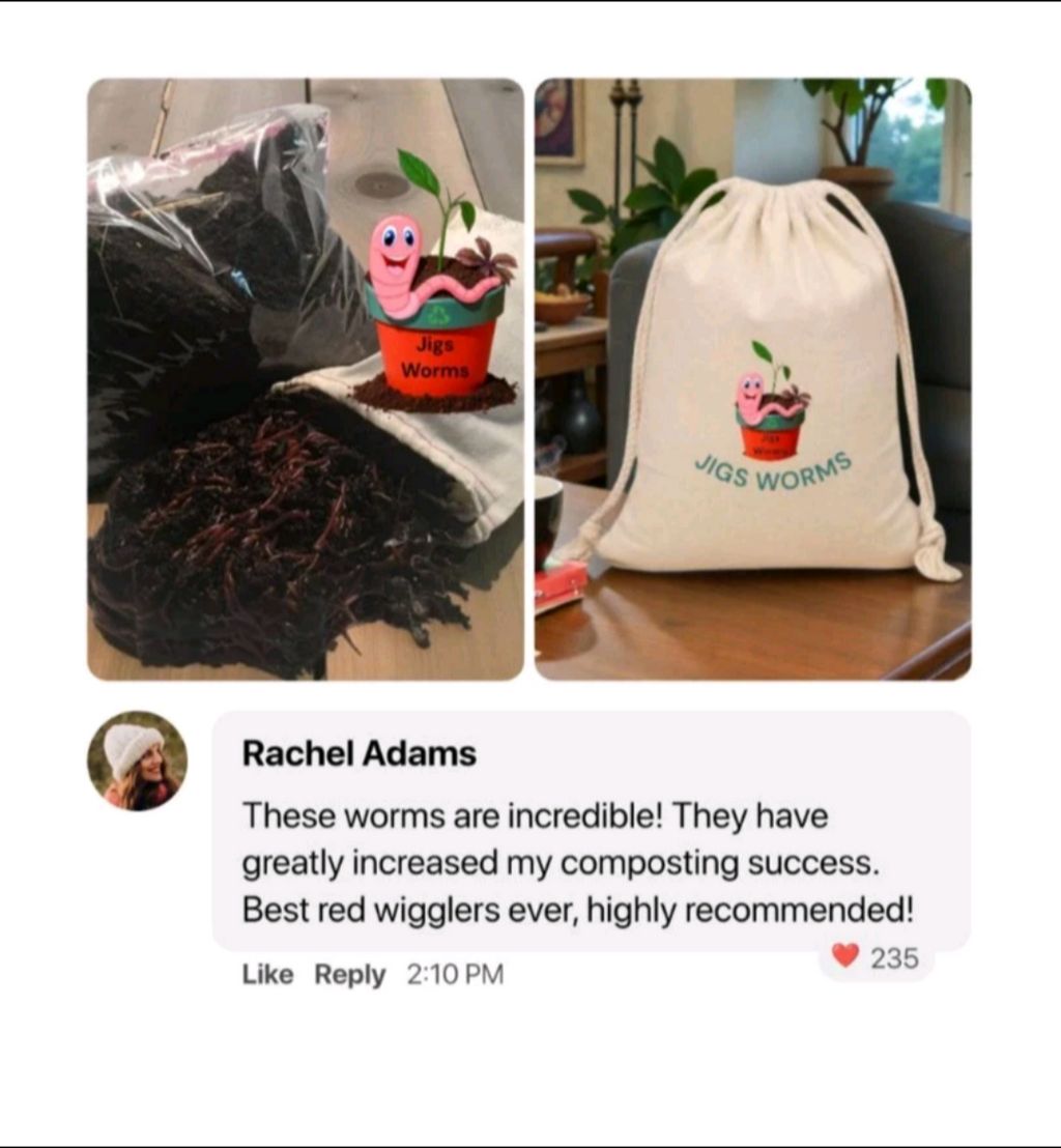 (JIGS) 100 LIVE EUROPEAN NIGHTCRAWLERS (EURO'S), Medium to Large Sized. Used for Composting or Bait.  No Manure!