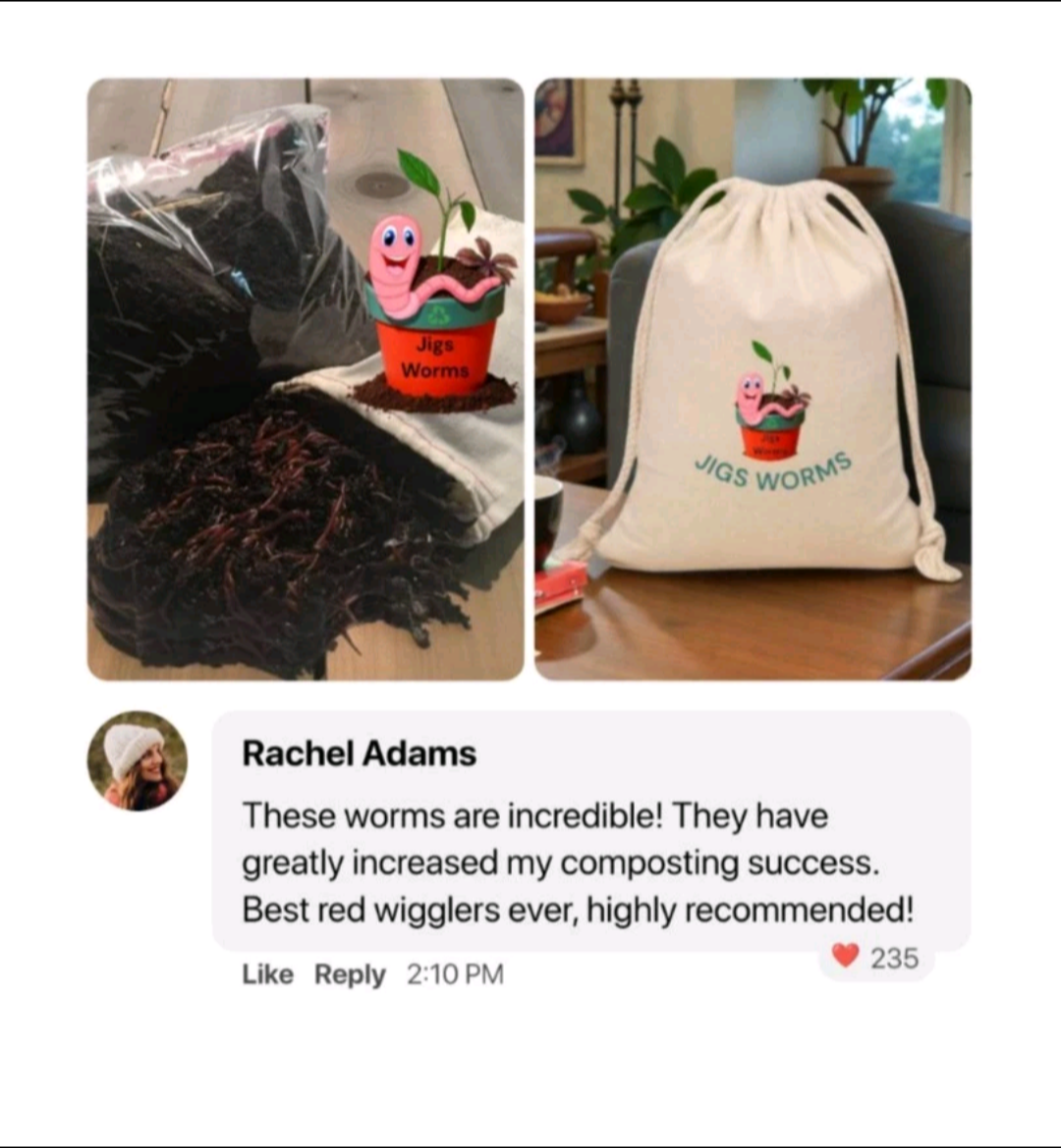 (JIGS) 100 LIVE EUROPEAN NIGHTCRAWLERS (EURO'S), Medium to Large Sized. Used for Composting or Bait.  No Manure!