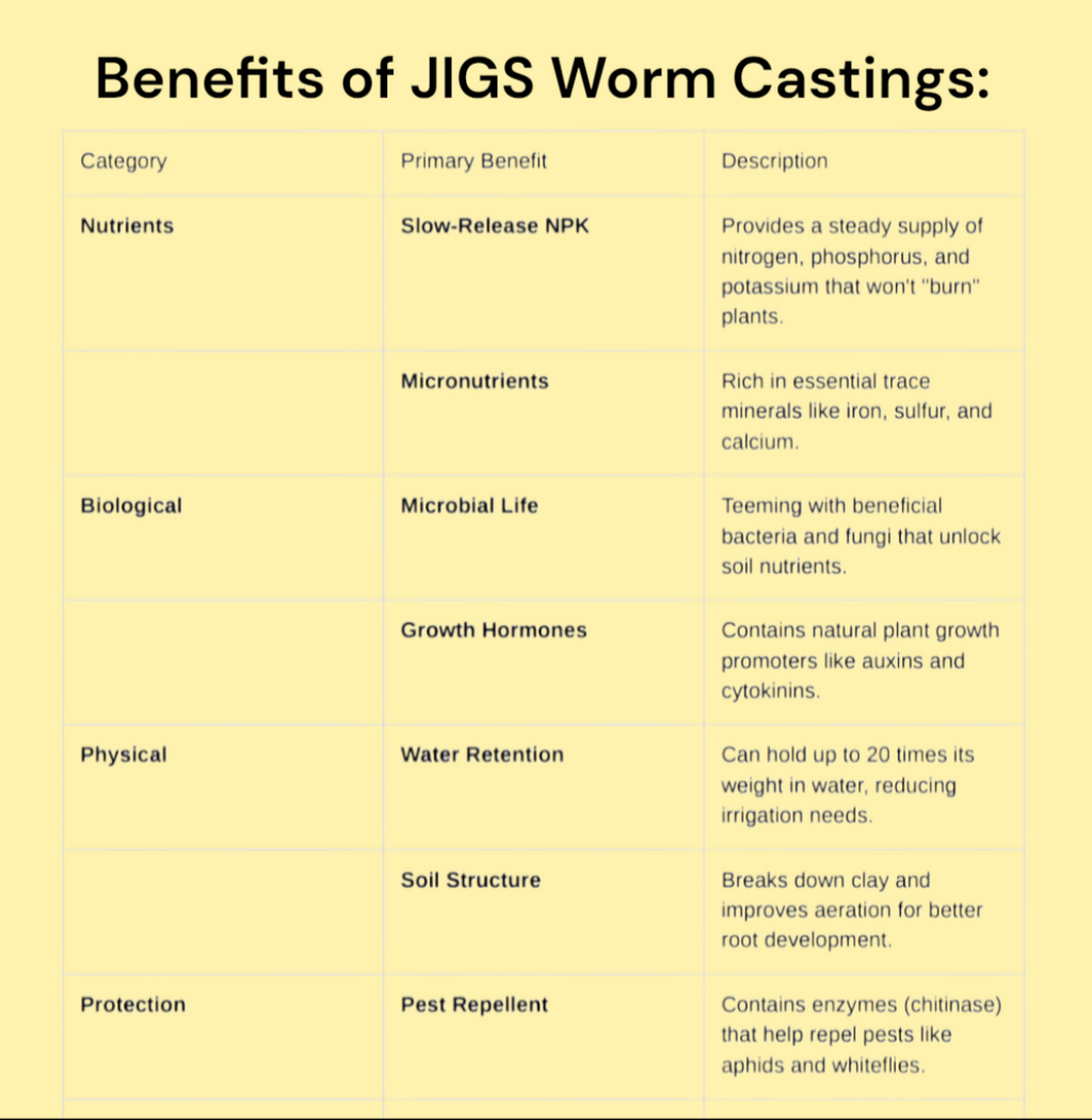 (JIGS) 100 LIVE EUROPEAN NIGHTCRAWLERS (EURO'S), Medium to Large Sized. Used for Composting or Bait.  No Manure!