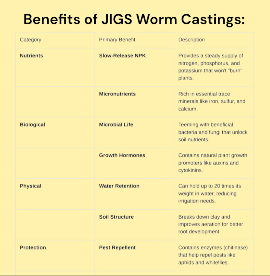(JIGS) 100 LIVE EUROPEAN NIGHTCRAWLERS (EURO'S), Medium to Large Sized. Used for Composting or Bait.  No Manure!